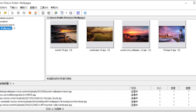 图片批量下载工具 Extreme Picture Finder v3.65.0
